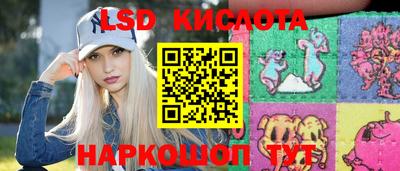 гашик Можга