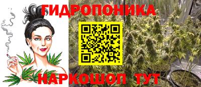дмт Нарткала