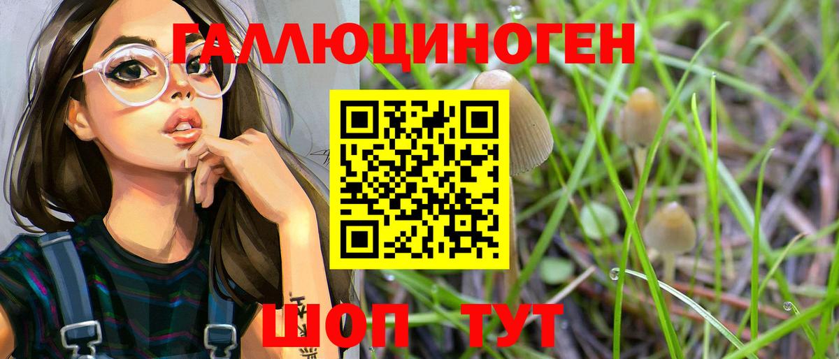 Псилоцибиновые грибы ЛСД Тихвин