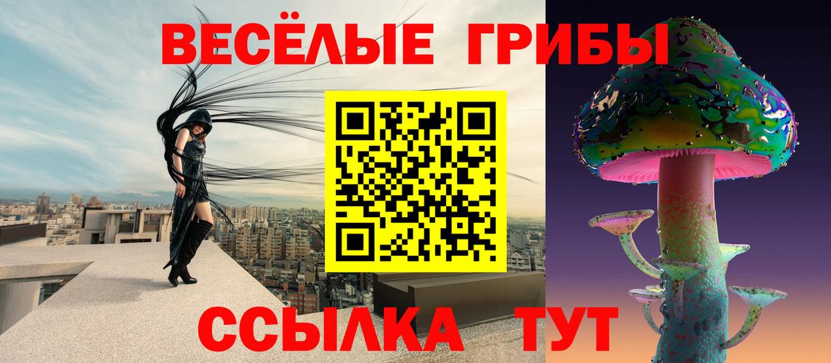 Тихвин  Галлюциногенные грибы Psilocybine cubensis  Галлюциногенные грибы прущие грибы  сколько стоит  Вход с VPN 